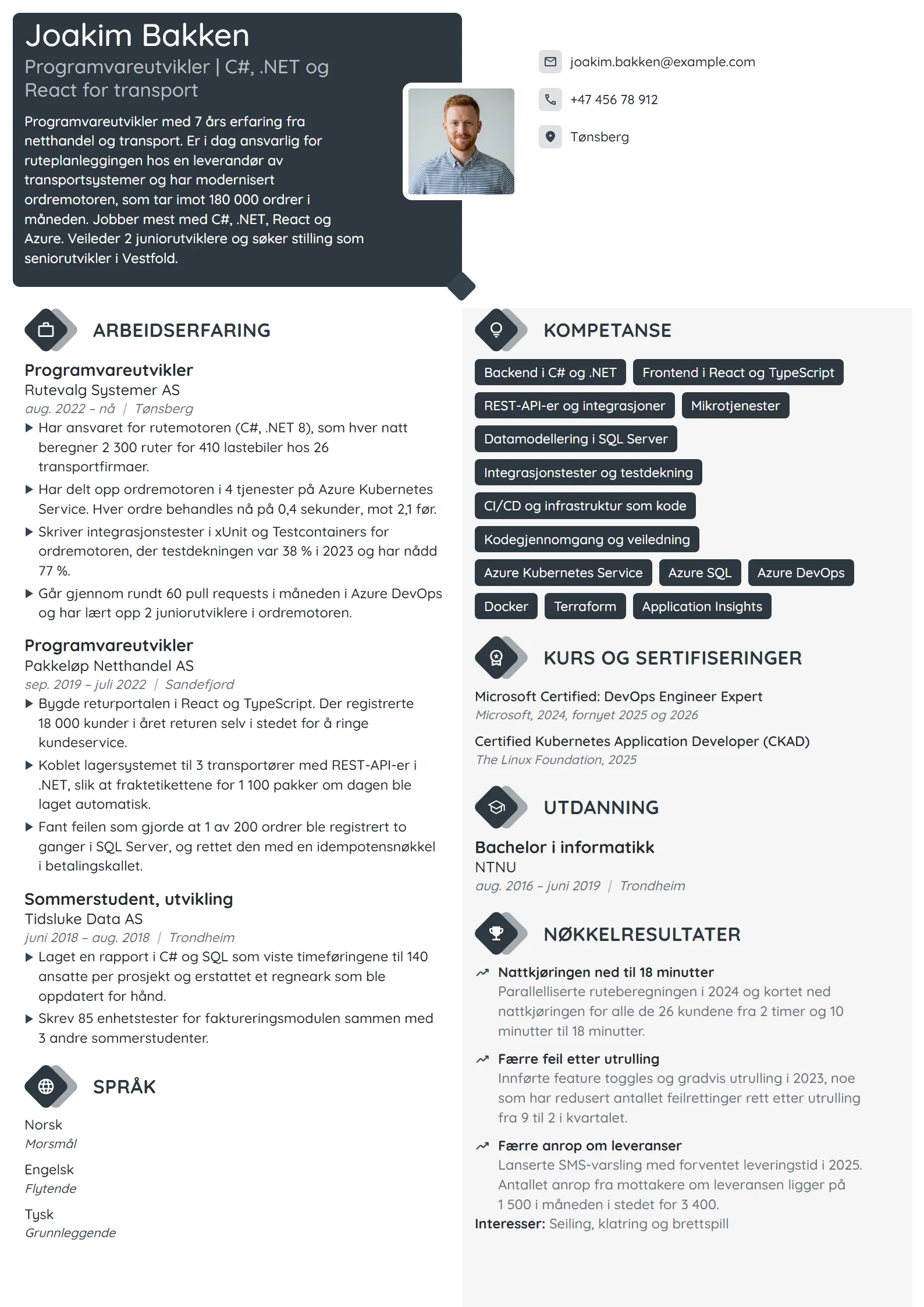 CV-eksempel for programvareutvikler i transport