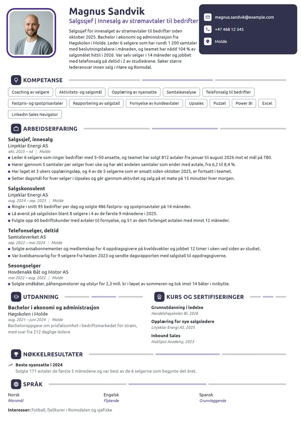 CV-eksempel for ny salgssjef i innesalg