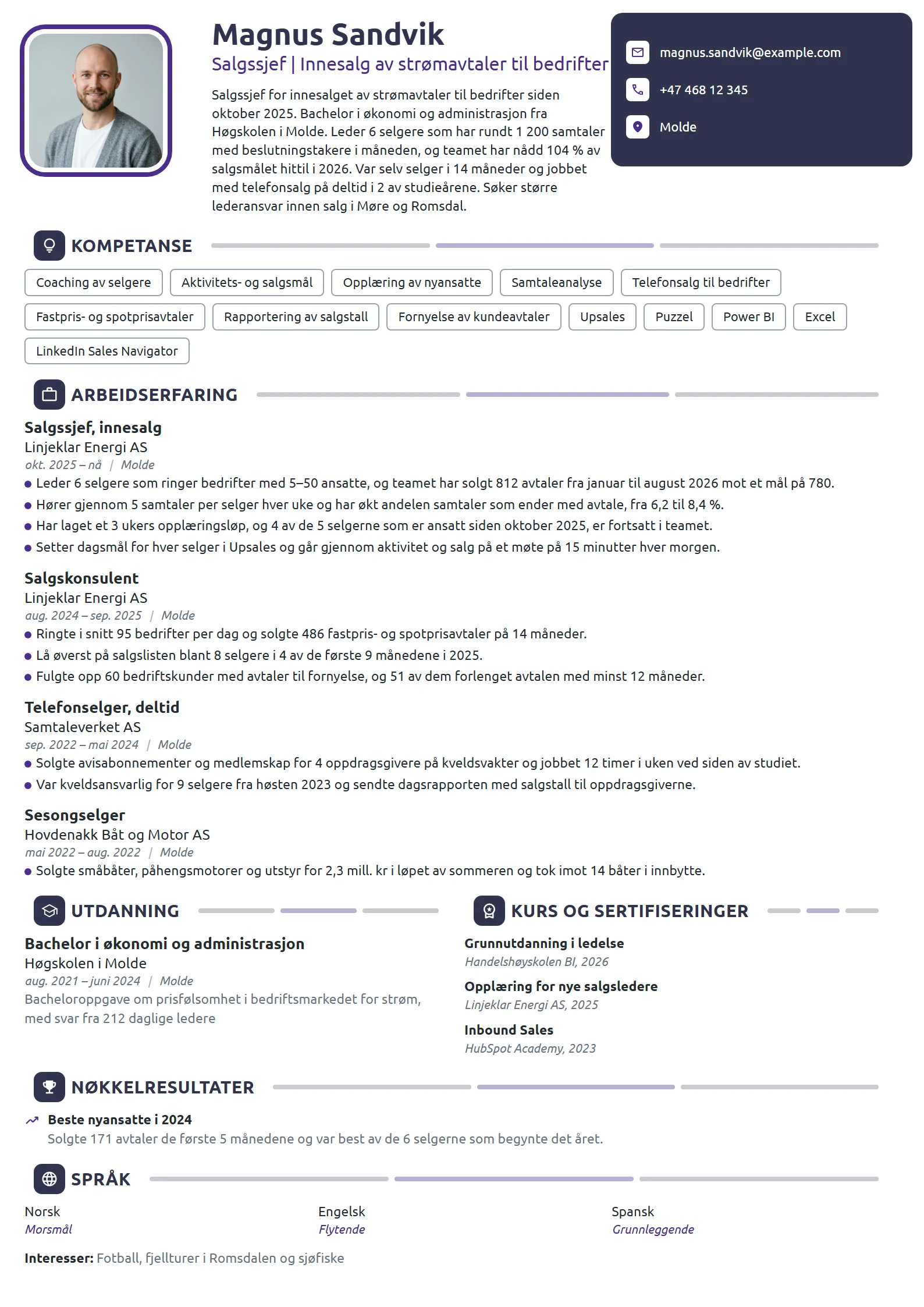 CV-eksempel for ny salgssjef i innesalg